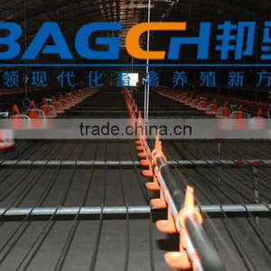 Automatic Feeding Chain System for Breeder thumbnail-1