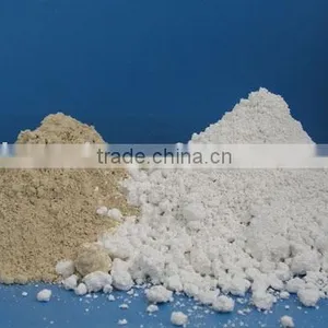 Diatomite Raw Minerals/Diatomaceous Earth/DE thumbnail-1