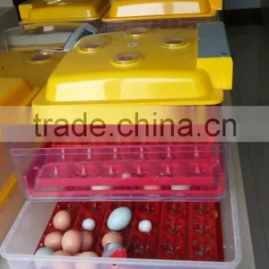 Hot Sale 288 Quail Egg Mini Incubator Price in ChinaWQ-72 thumbnail-3