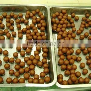 Low Noise High Efficiency SDW-I Type Roller Big Honey Pill Making Machine for Sale thumbnail-5