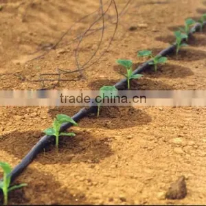 Low-price Inlaid Flat Emitter Drip Irrigation Pipe thumbnail-3
