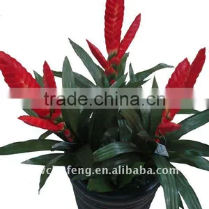 Artificial Lucky Red Hearts Potted Flowers thumbnail-1
