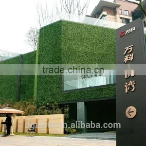 Only $ 1 for Artificial Outdoor Plant Wall Sample (Off-price Merchandise for Sale New Goods ) thumbnail-1