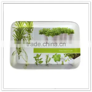 China Factory Direct Melamine Plastic Hotel Coffee Trays With Handles thumbnail-6