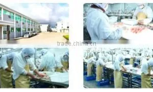 Eastern United Fish Co., Ltd. company overview - view 2 thumbnail