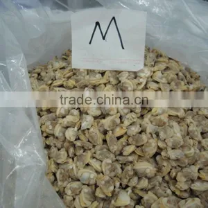 Frozen Seafood Boiled Clam Meat thumbnail-2