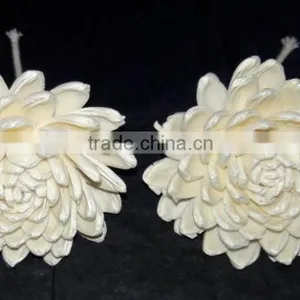 7019-7024 Sola Flower for Diffuser thumbnail-1