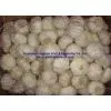 Normal White Garlic 5.0-6.0cm thumbnail-3