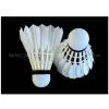 Shuttlecock Kicking|shuttlecock Uk|shuttlecock Brand|shuttlecock Singapore|shuttlecock Factory|shuttlecock Icon|shuttlecock Price Malaysia|shuttlecock Yonex|shuttlecock Foot|shuttlecock Speed thumbnail-2