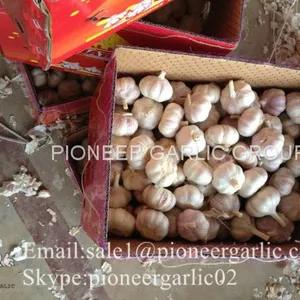 New Crop 4.5cm Normal White Fresh Garlic In 10 kg Box Packing thumbnail-4