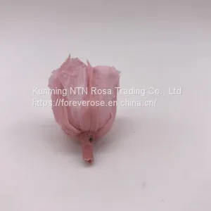 Preserved Rose for Wedding Festival Decoration thumbnail-3