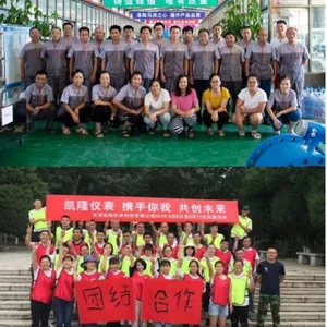 Tianjin Kailong Flowmeter Technology Company company overview - view 1 thumbnail