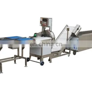 Rood Leaf Vegetables and Fruits Carrot Radish Apple Washing Cutting Packing Processing Machines Plant thumbnail-3
