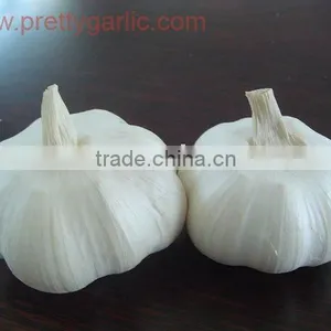 2010 Crop Normal White Garlic 5.0cm thumbnail-1