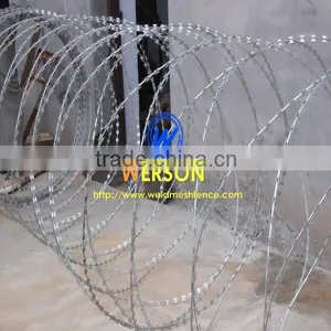 Razor Wire thumbnail-4