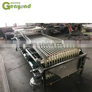 Custom Fresh Medjool Dates Sorting Machine for Vegetable and Fruit Sorter thumbnail-2