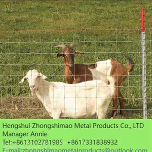 Grassland Fence/Field Fence/Galvanized Steel Mesh/ stock Fencing Wire/Cattle Fence thumbnail-2