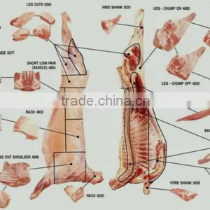 Frozen Lamb and Mutton Meat thumbnail-4
