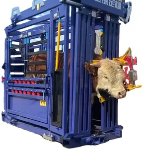 2025 New Mold Steel Tube Cattle Weighing Crush thumbnail-6