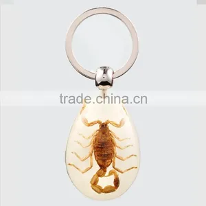 2016 New Spide Keychain With Real Insect thumbnail-4