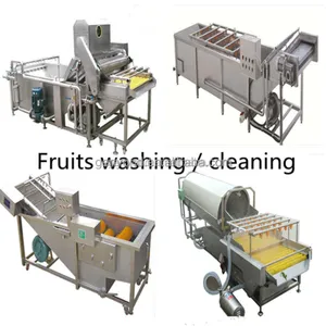 Washing Machine Small Production Capacity Washing for Fruit thumbnail-4