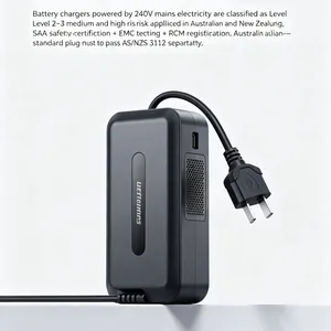 What Certifications Are Required for Battery Chargers Exported to Australia and New Zealand? thumbnail-1
