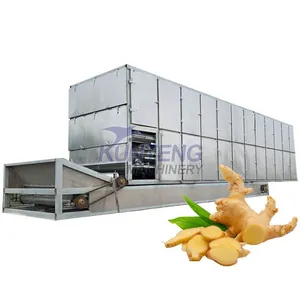 Continuous Mesh Belt Ginger Dehydrator Ginger Drying Machine Turmeric Dryer EPC thumbnail-1