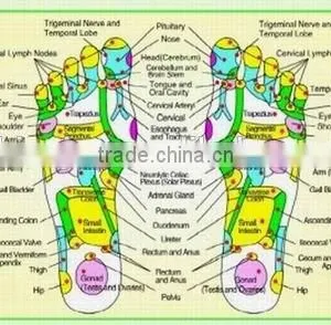 EA-F20 Physical Tens Body Massager thumbnail-6