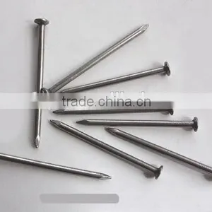 Polished Carbon Steel Common Nails With Smooth Shank thumbnail-6