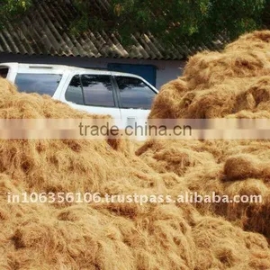 Coir Fiber thumbnail-1