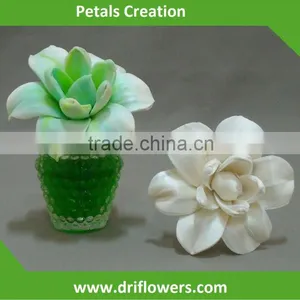 Sola Flower Diffuser thumbnail-1