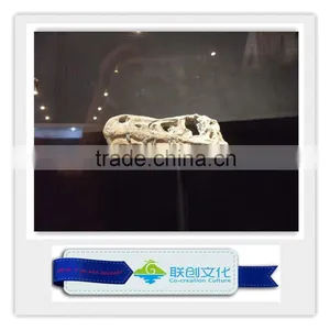 2014 Hot Sale Dinosaur Park Real Size Fiberglass Dinosaur Fossil thumbnail-1