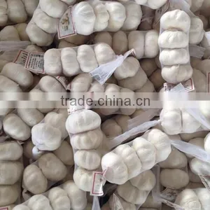 2015 New Season Chinese Garlic Wholesale Fresh Natural Garlic Normal White Garlic Pure White Garlic Purple Garlic thumbnail-2