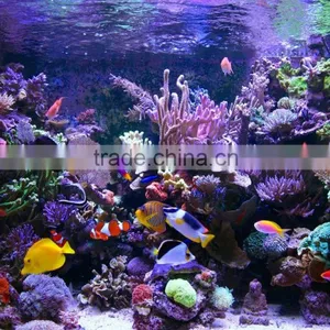 60-80cm Marine Tank Led Aquarium Light Progammbale Dimmable 4 Channels Control thumbnail-4