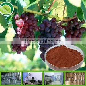 95% OPC Grape Seed Extract thumbnail-1