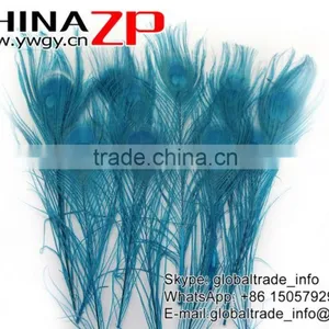 CHINAZP Leading Supplier Wholesale Cheap Full Eye Dyed Turquoise Blue Peacock Tail Feathers for Sale thumbnail-3