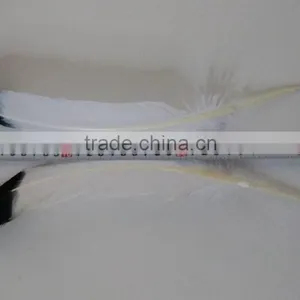 White Turkey Quills With Black Tips thumbnail-2