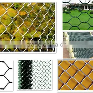 Pvc Coated Hexagonal Wire Mesh/hexagonal Chicken Wire Mesh thumbnail-6
