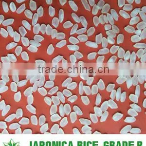 VIETNAMESE MEDIUM GRAIN RICE 5% BROKEN - USD400-450/MT thumbnail-2