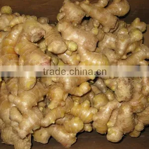 New Crop Dried Ginger thumbnail-1