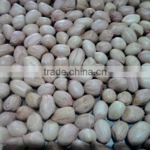 HIGH QUALITY GROUNDNUT KERNEL thumbnail-1