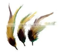 Feather Picks thumbnail-1