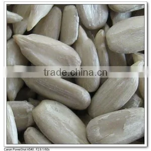 Sunflower Seed Kernels thumbnail-1