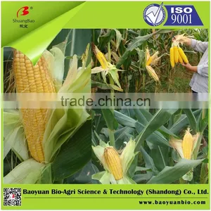 Compound NPK Agro Fertilizer 22-20-8 thumbnail-4