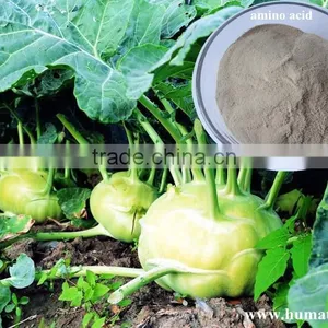 Honganyuan Compound Amino Acid / Soya Bean Extract Amino Acid Powder thumbnail-4