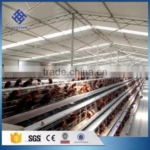 30 Years' Factory Supply Automatic Chicken Nest thumbnail-3