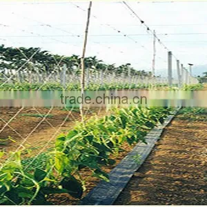 Plant Support Net/ Plant Climbing Net thumbnail-6