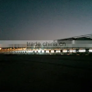 Middle East Greenhouse thumbnail-3