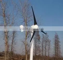 300W Free Energy Wind Power Generator thumbnail-1