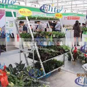 234 Layer for Pool Rack Layer for Pot Plant Trolley Layer for Flower and Pot Plant Trolley Perfect for Display thumbnail-1